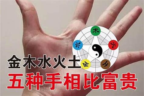 金木水火土型人|【面相学】一看就会的五行识人